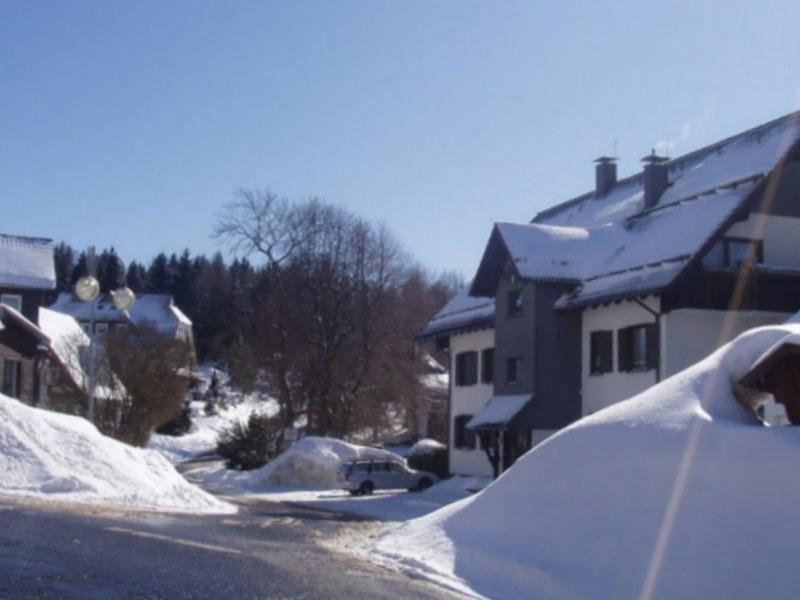 Ferienwohnung Weitblick Am Kurpark Braunlage Dış mekan fotoğraf